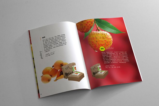 宣傳冊設(shè)計一般一頁多少錢？宣傳冊的特點(diǎn)有哪些？